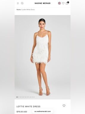 pink Fringe Feather Mini Dress- Nadine Merabi